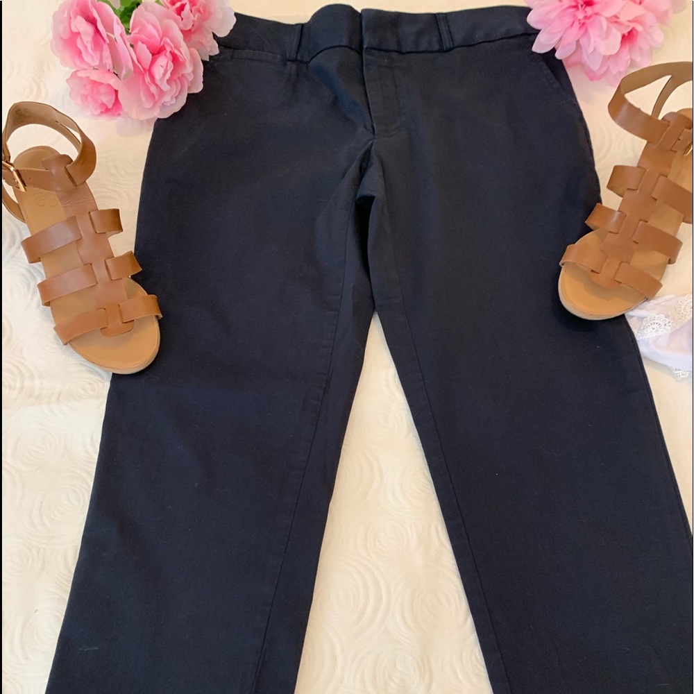 Banana Republic Capri